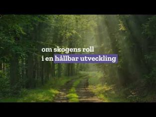 Skogslektioner om skogens roll i en hållbar utveckling