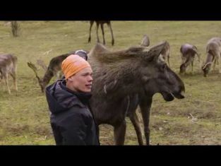 Älgfarmaren Erik