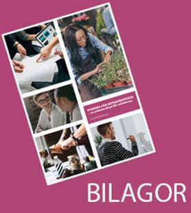 Svenska för entreprenörer, bilaga projektarbete: Egenföretagare - något för mig