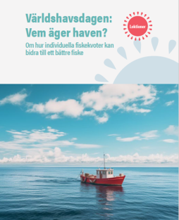 Världshavsdagen: Vem äger haven? – lektionsupplägg PDF