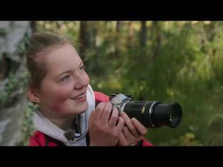 Frida och skogens fåglar