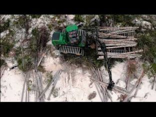 Arbeta med skogsbruk