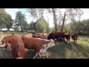 Virtuell film om lantbruk