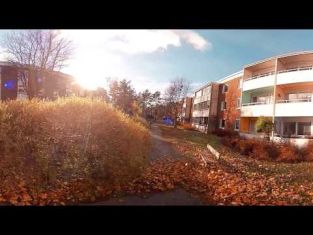 Virtuell film om att arbeta i trädgårdsbranschen