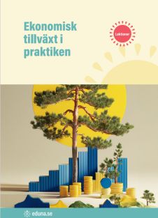 Ekonomisk tillväxt i praktiken - lektionsupplägg