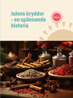Julens kryddor– lektionsupplägg PDF