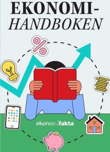 Ekonomihandboken