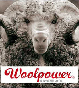 Intervju med entreprenör Adam Brånby – Woolpower